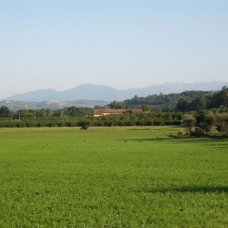 Agriturismo La Tilia Lequio Tanaro Zewnętrze zdjęcie