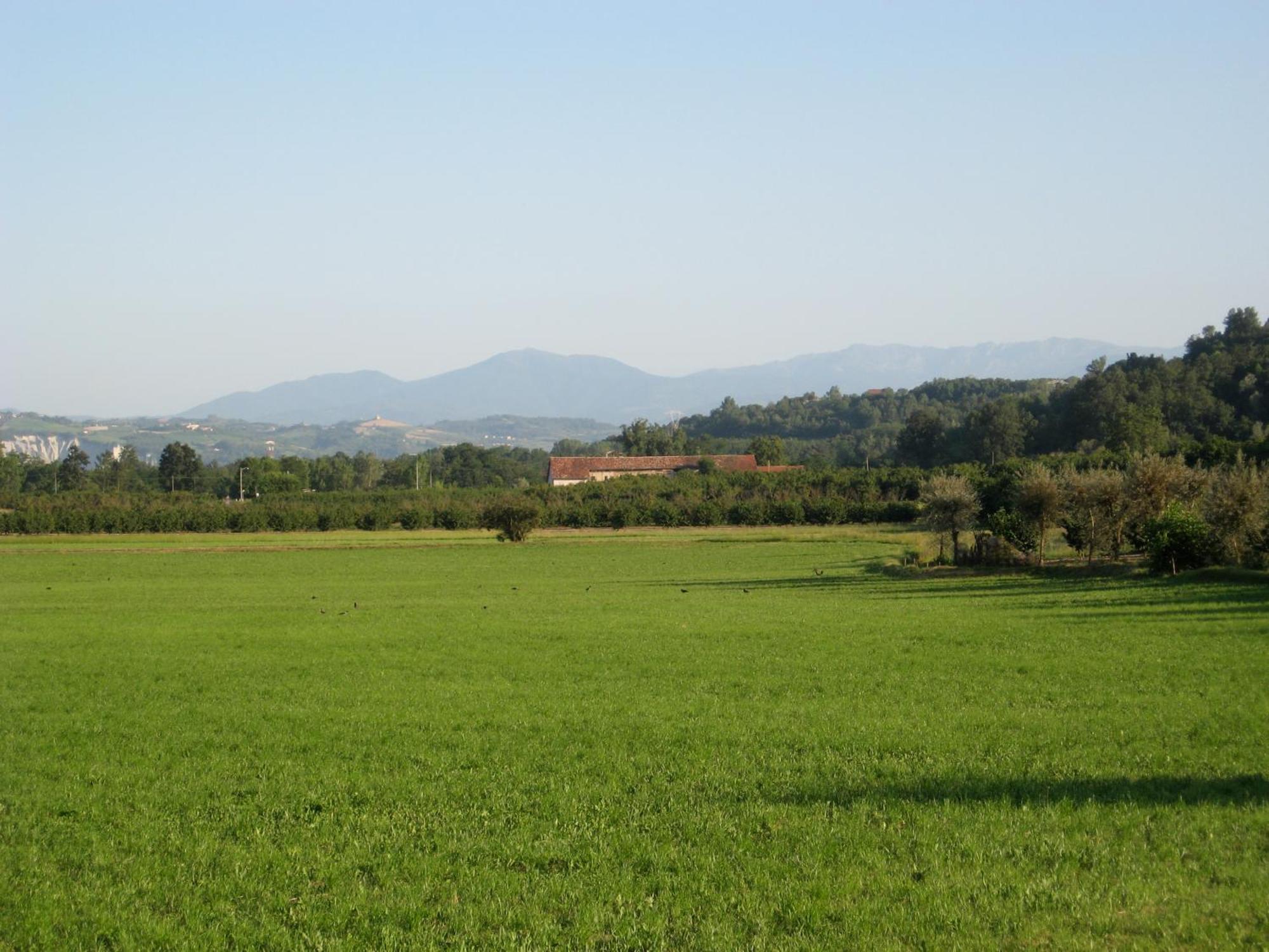 Agriturismo La Tilia Lequio Tanaro Zewnętrze zdjęcie